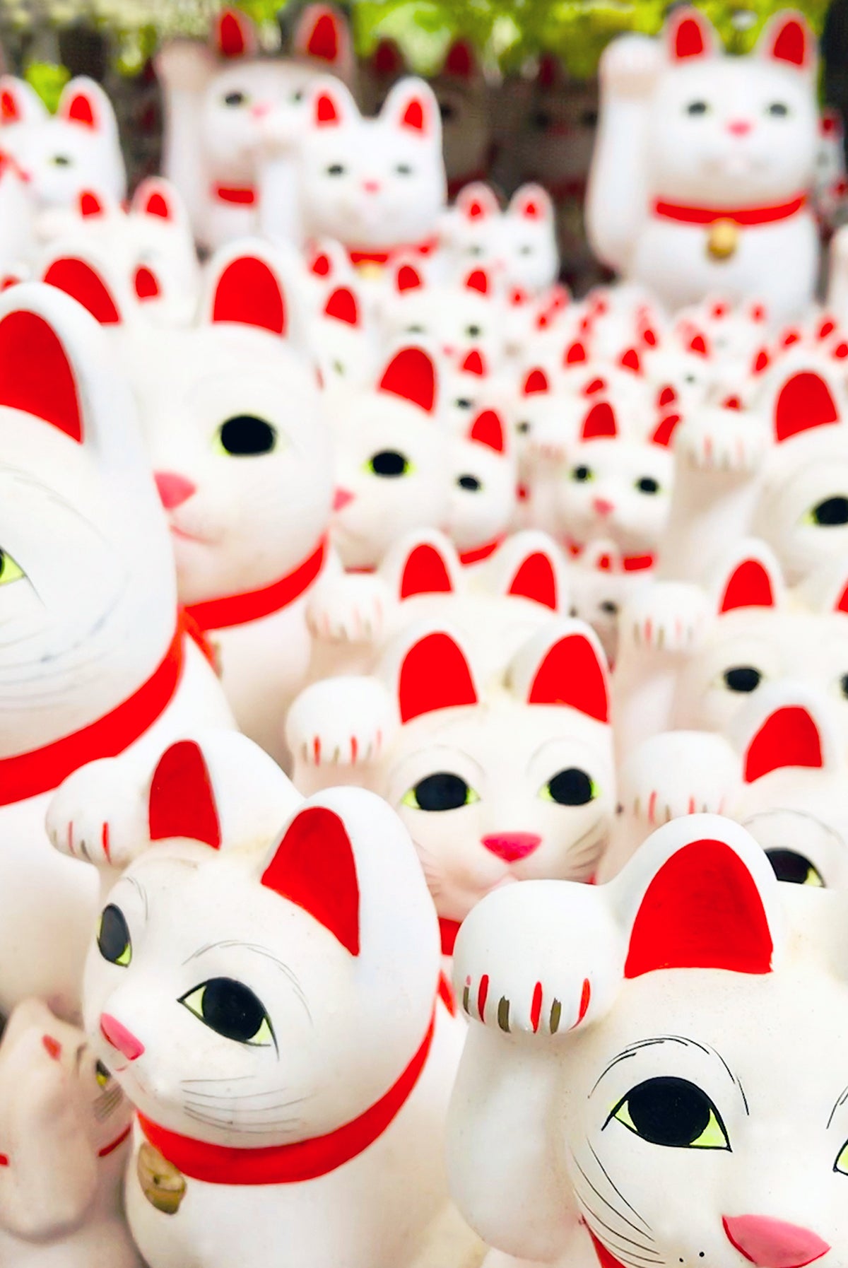 Lucky cats / Japan 2019