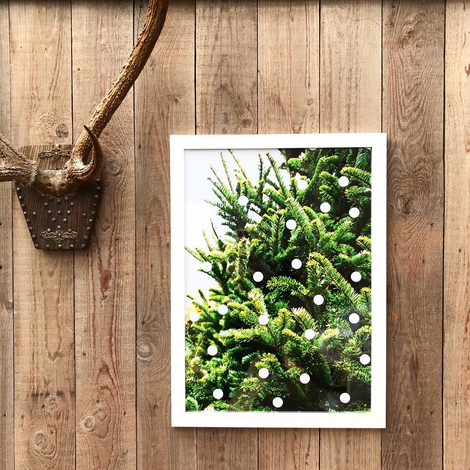 HoHoHooo! Merry Christmas !