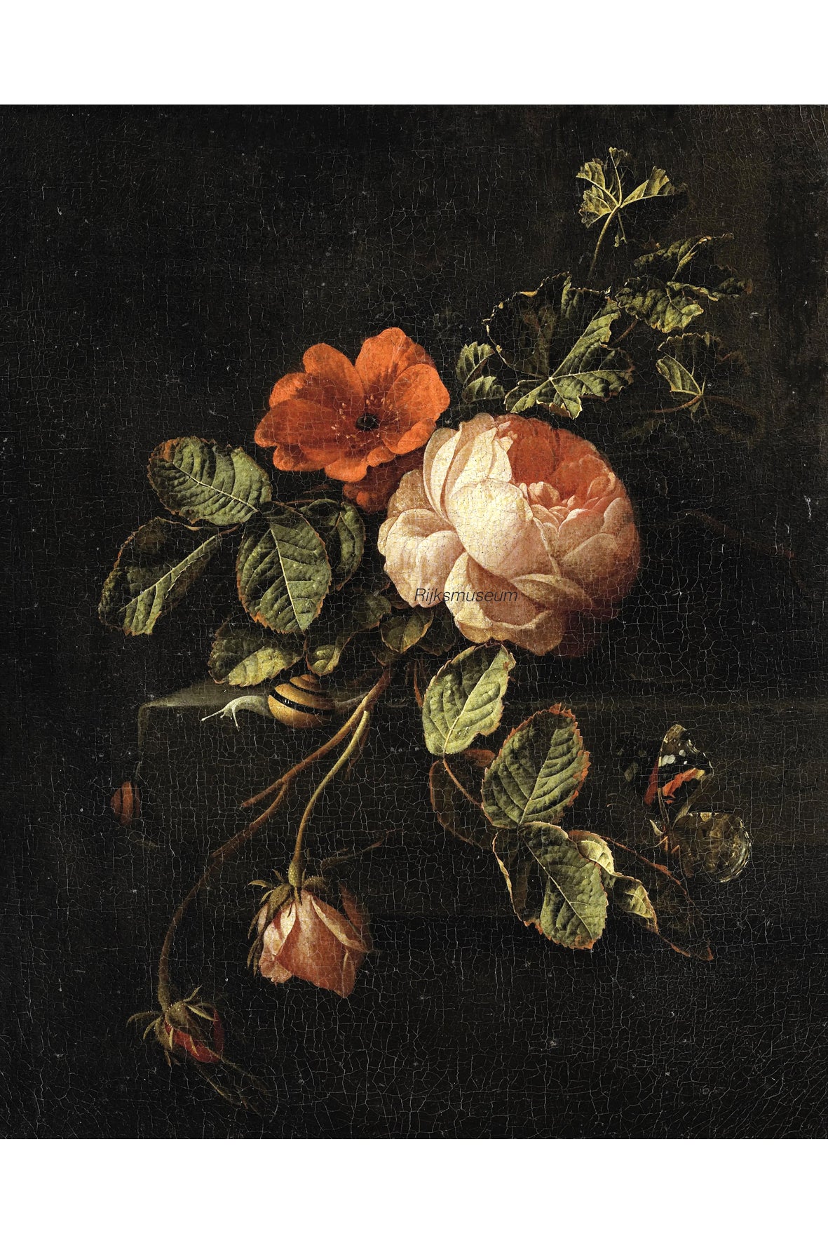 Flowers, Roses
