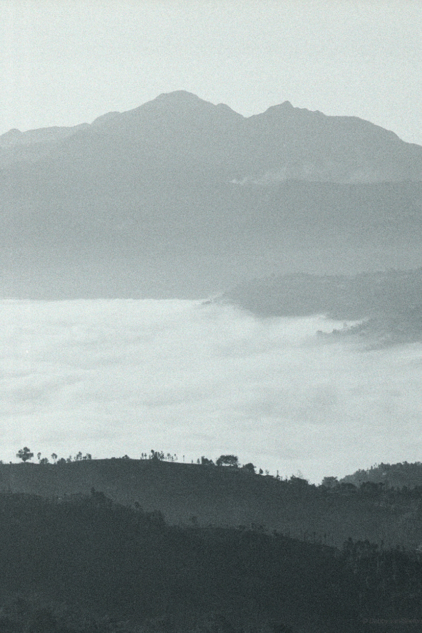 Fog Lake / Foto op Hout