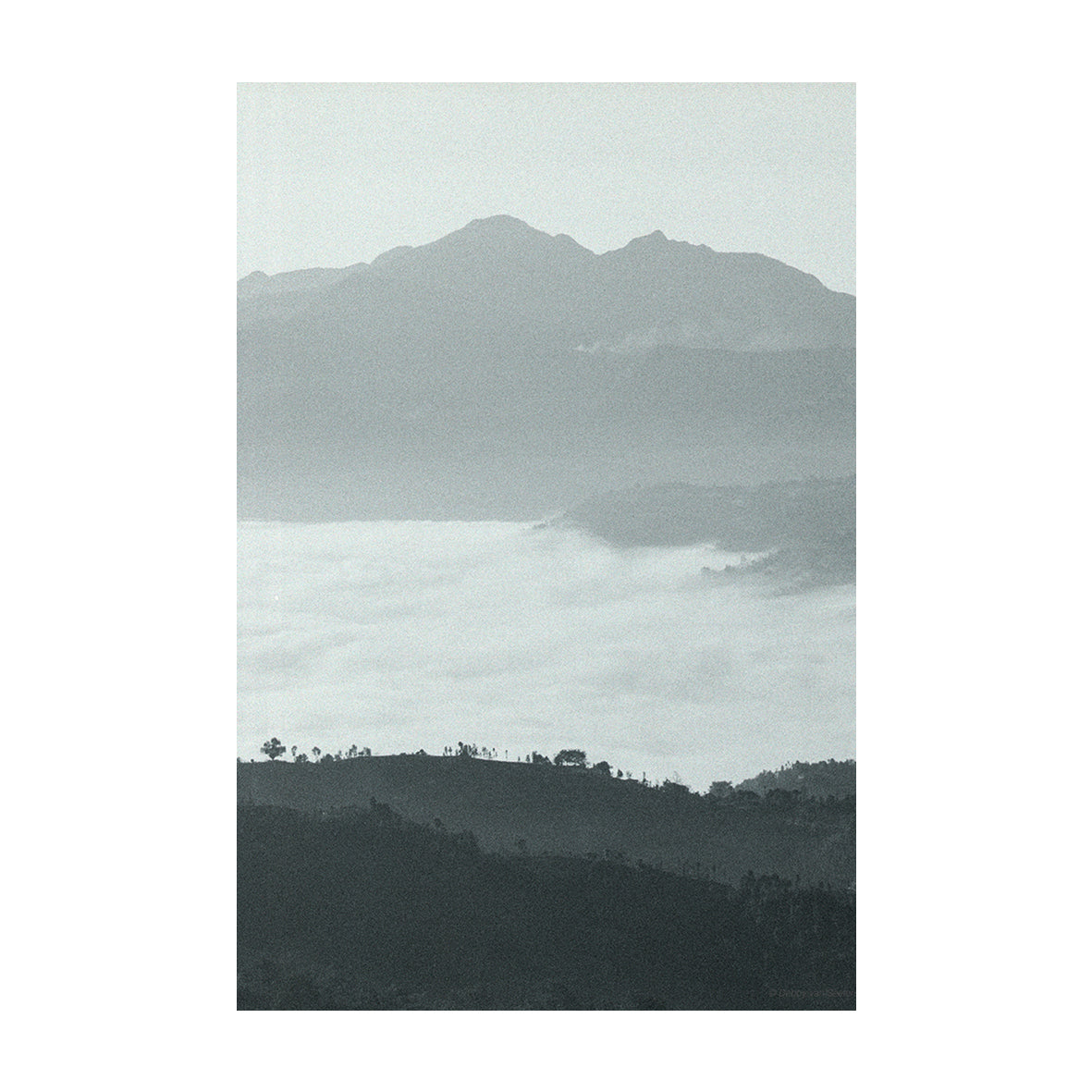 Fog Lake / Foto op Hout