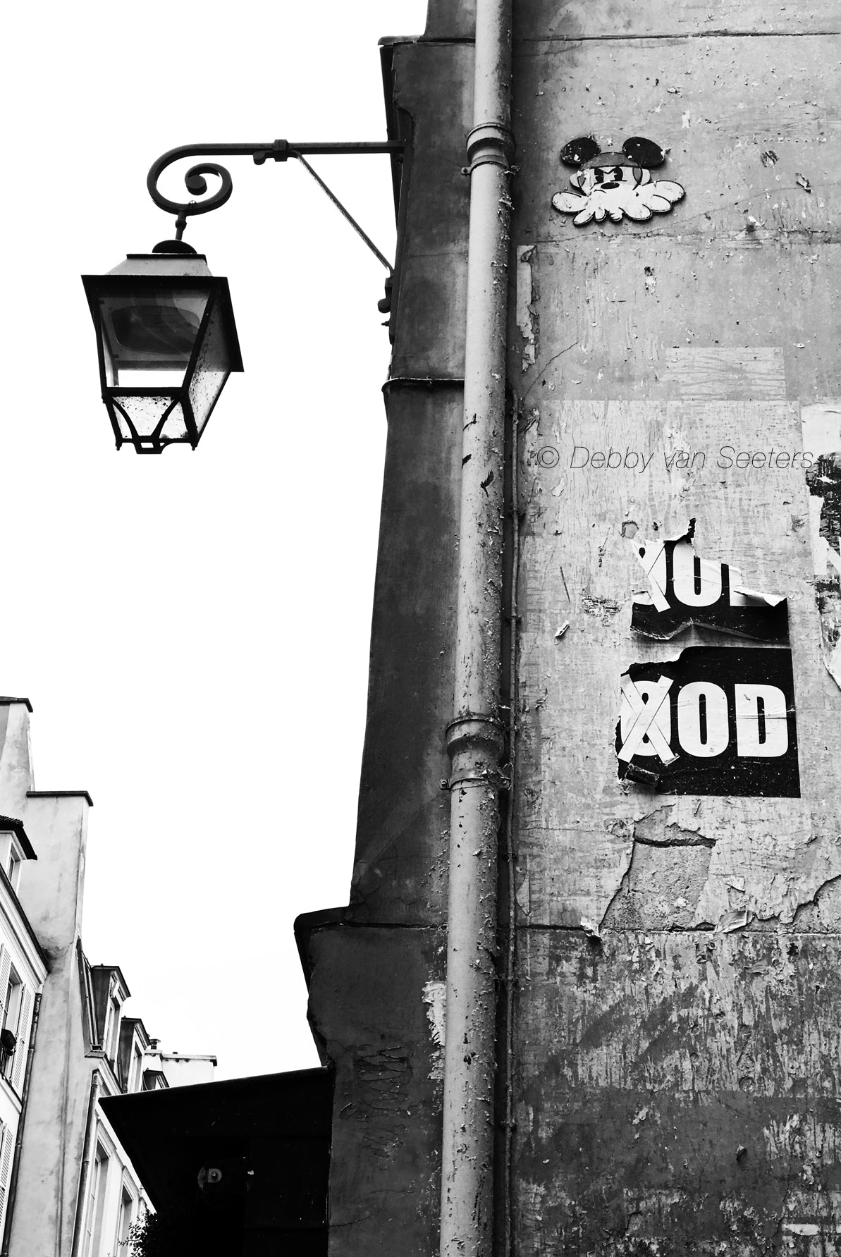 Mickey • Poster / Canvas