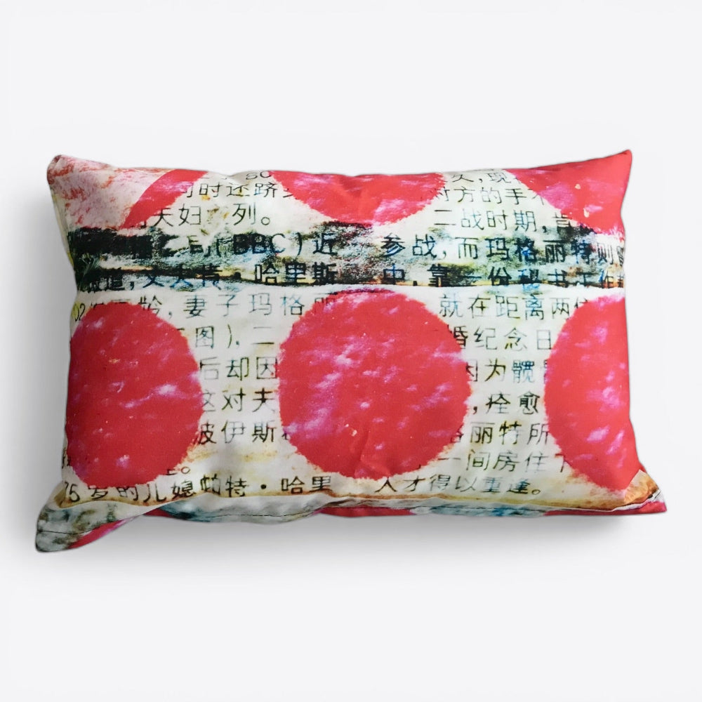 Kussen / Red dots