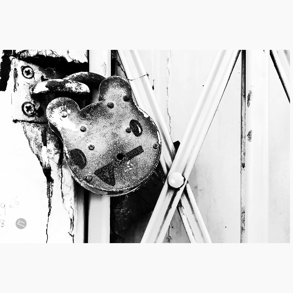 Kussen / Kuma + AllGood