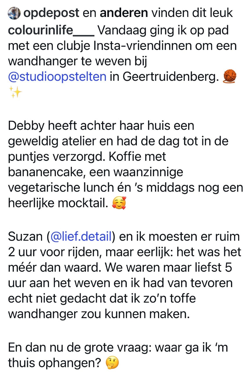 WORKSHOP WANDHANGER WEVEN in ons atelier, inclusief luxe lunch (ca 5 uur)