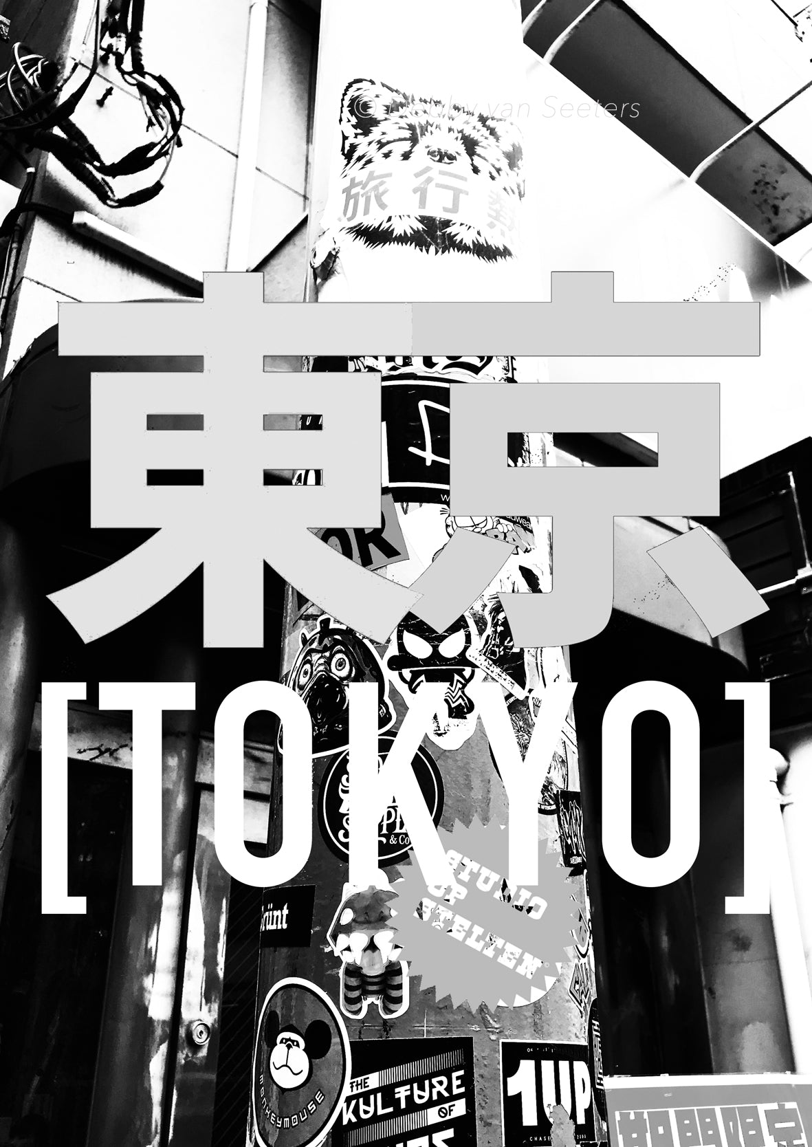 Tokyo / Foto op Hout