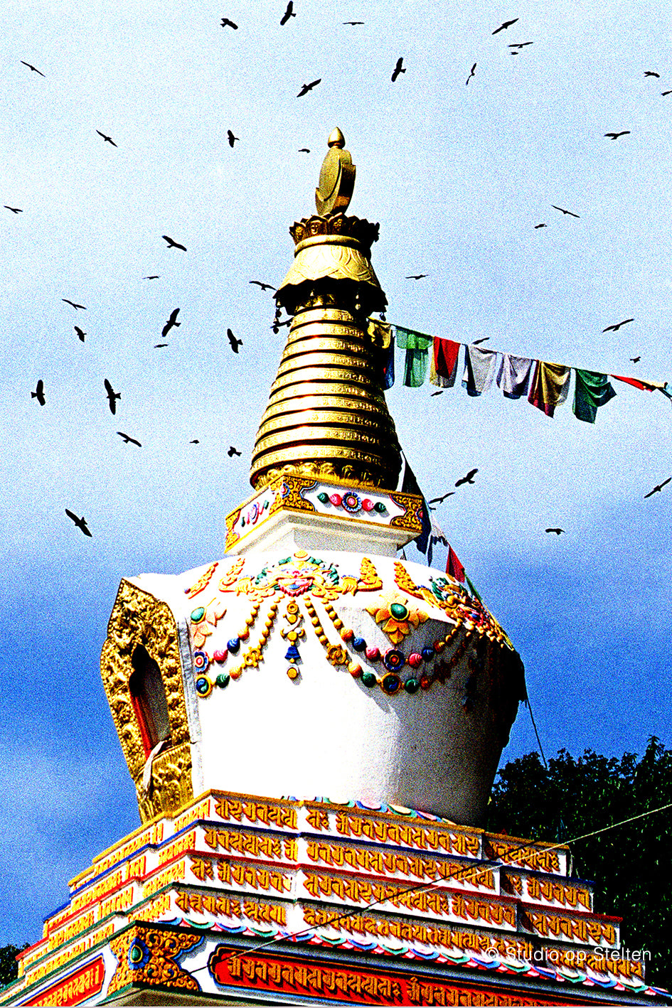 Birds of pray / Nepal 2002