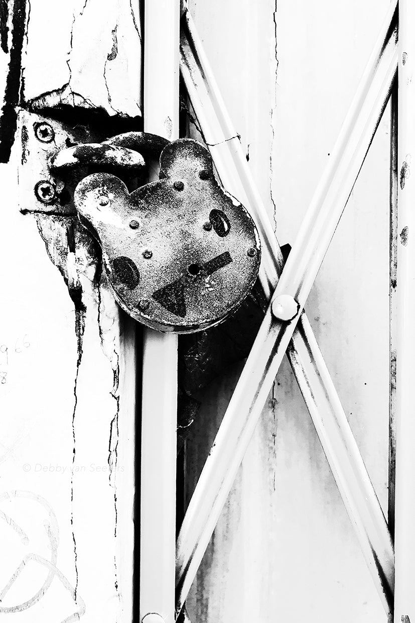 Kuma • Poster / Canvas