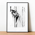 Kuma • Poster / Canvas