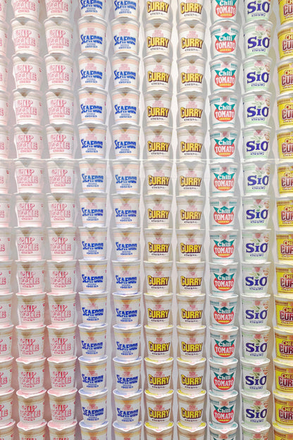 Noodles / Japan 2019