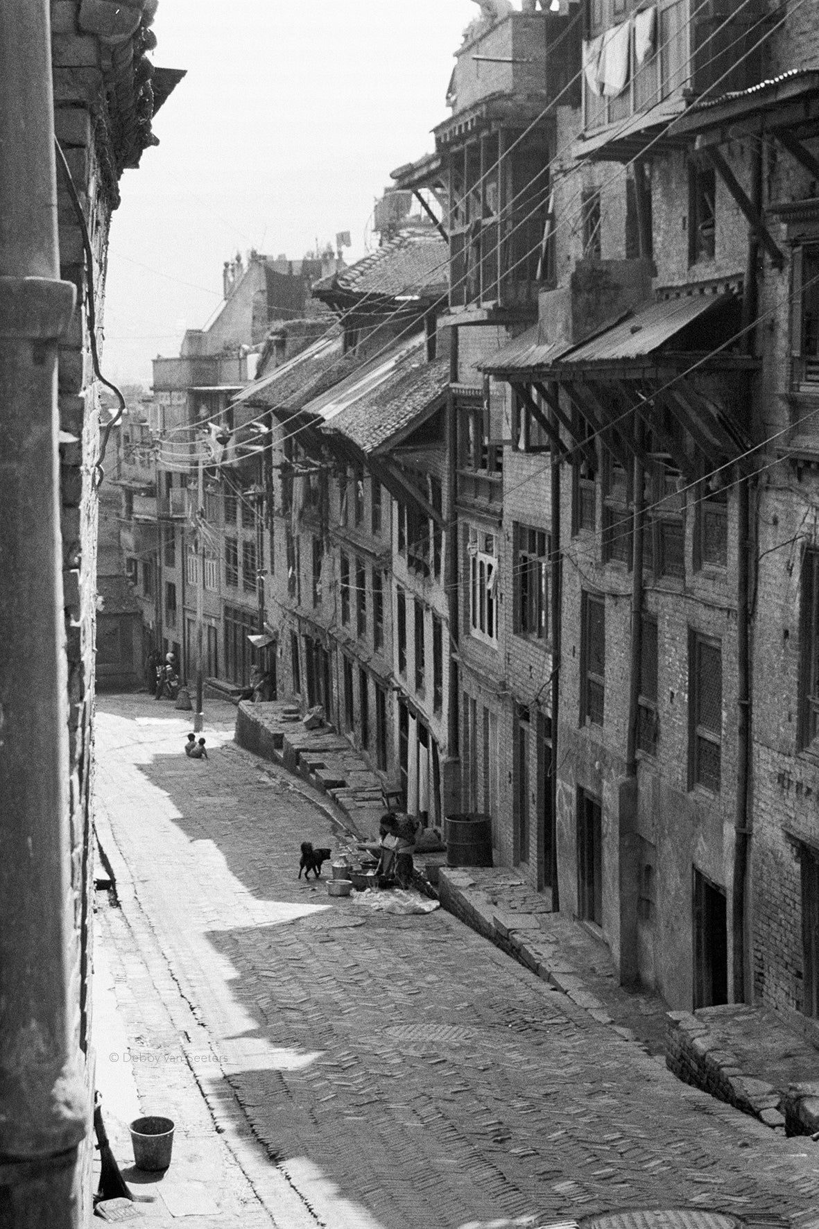 Street dog / Nepal, 2002 ©Studio op Stelten Fotografie