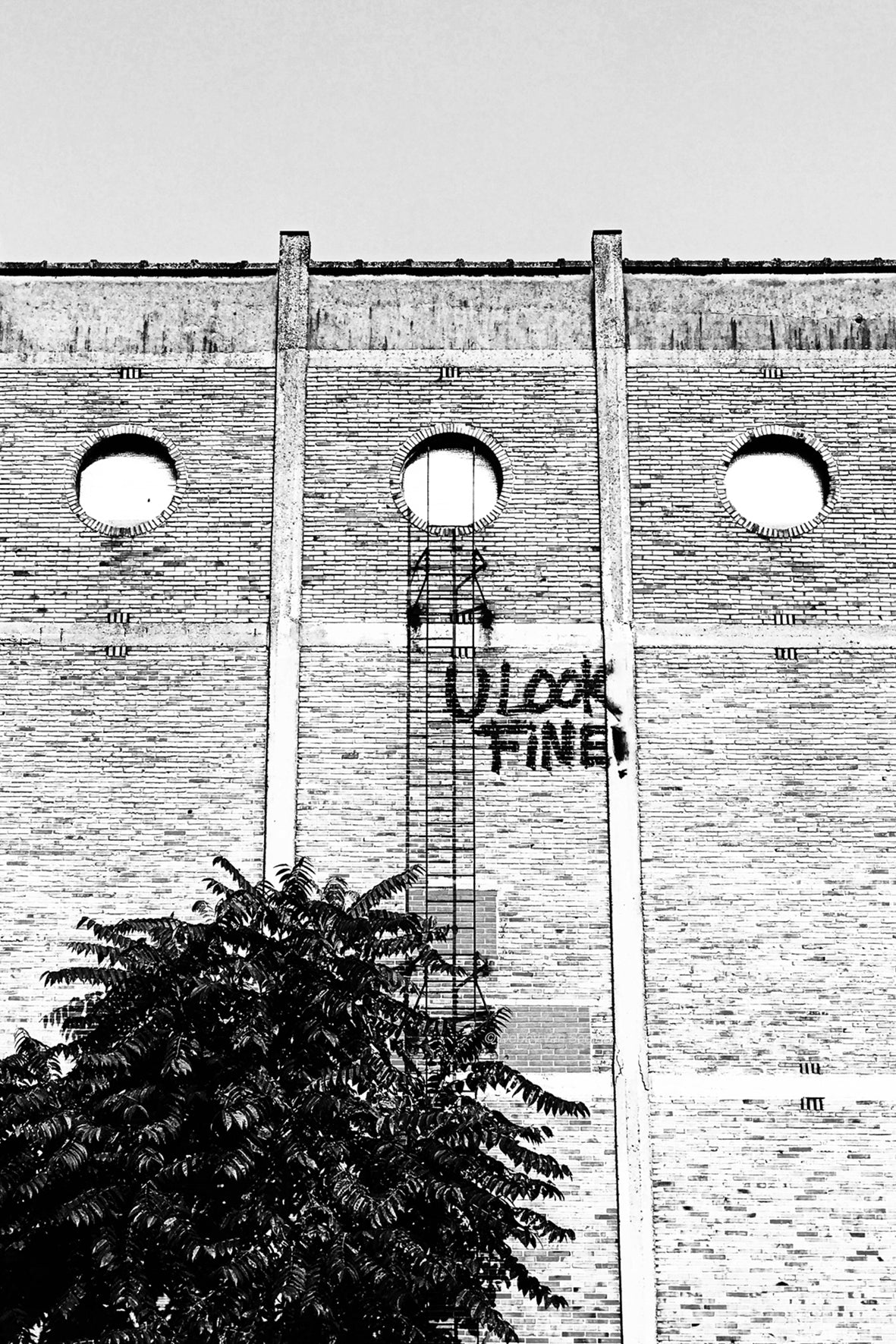 U look fine • Poster / Canvas